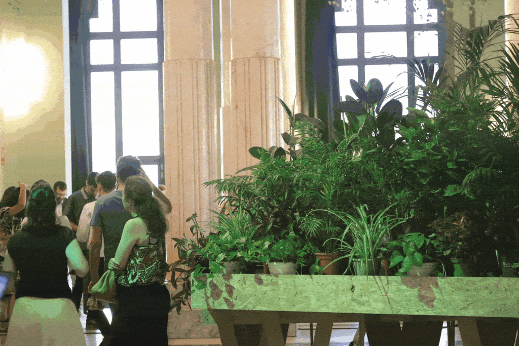 El Refugio Climático del Círculo de Bellas Artes abre para eventos este verano