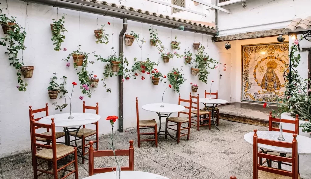 Photo of El Tablao de Carmen 8