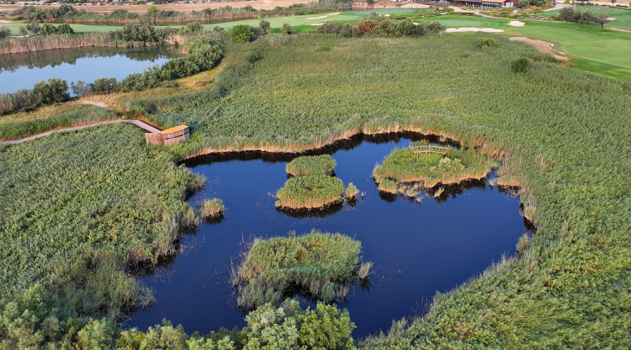 Comprometidos con la sostenibilidad: nuestro camino hacia un futuro verde 