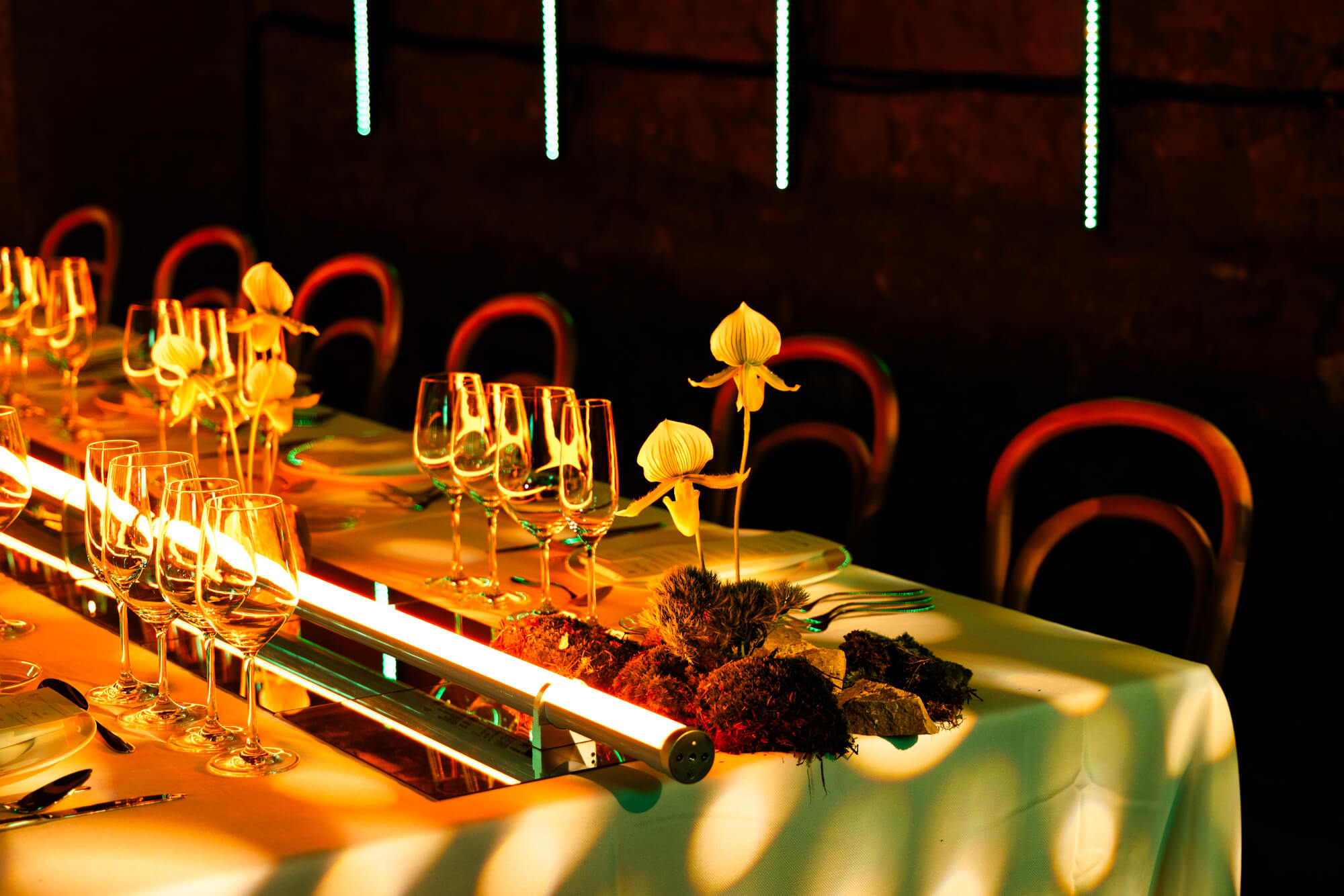 ELEMENTS, la nueva experiencia de Sibaris Catering que combina gastronomía e inmersión 