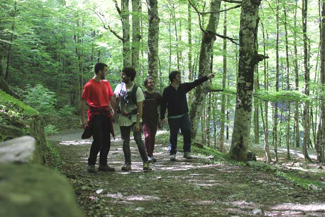 Photo of Local Experts Tours 6