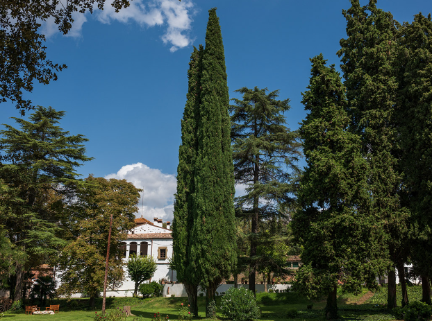 Photo of Manso Esmandía 2