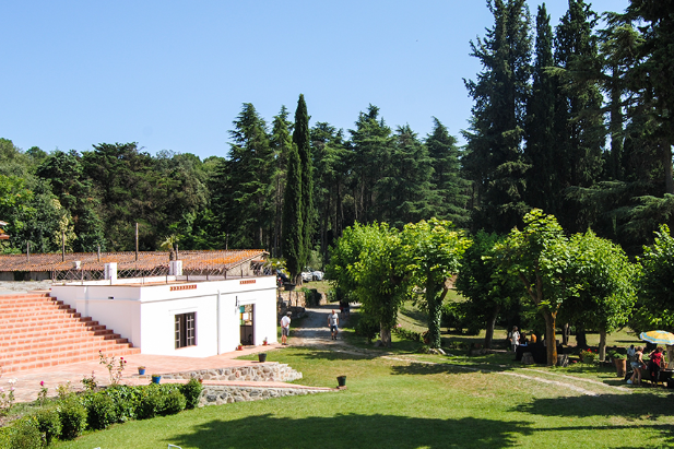 Photo of Manso Esmandía 5