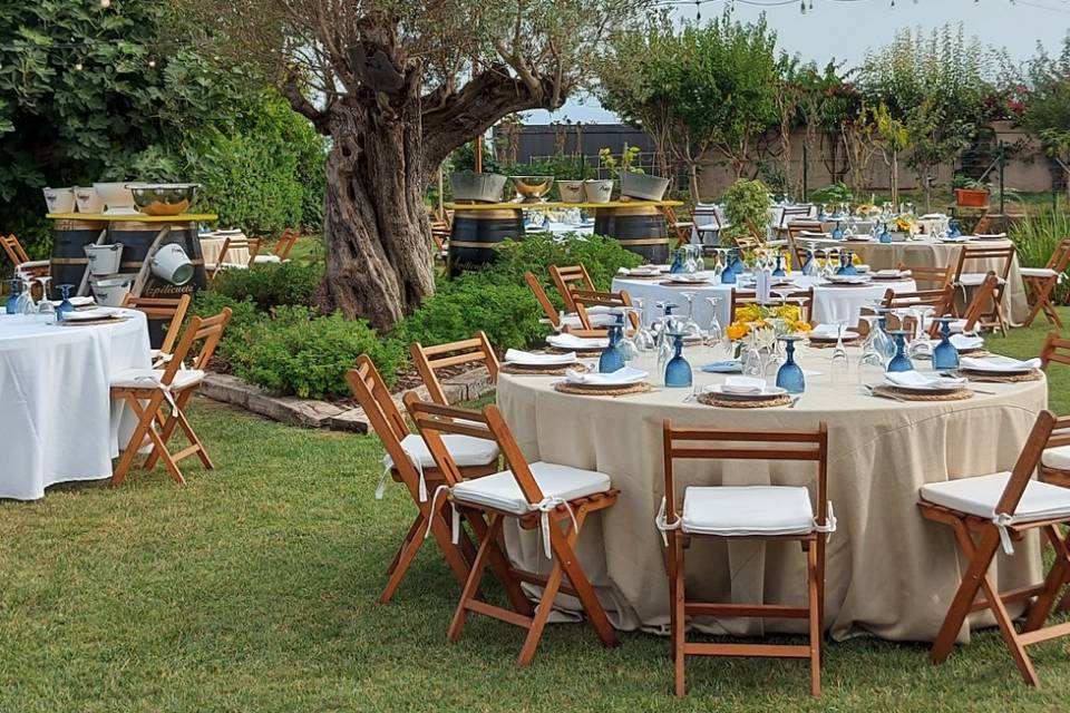 Photo of Finca El Teular 2