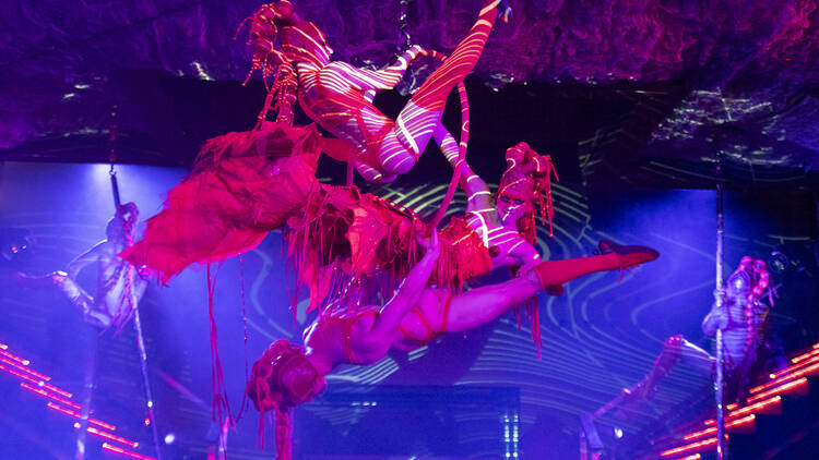 Photo of Medias Puri 5