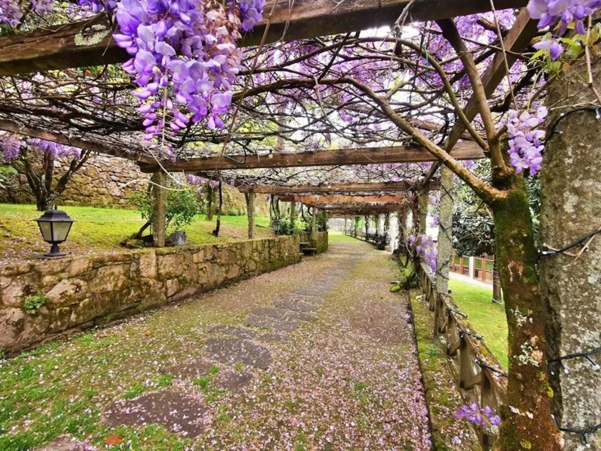 Photo of Pazo de Adrán 3