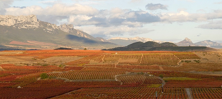 La Rioja, la sorpresa MICE para organizadores