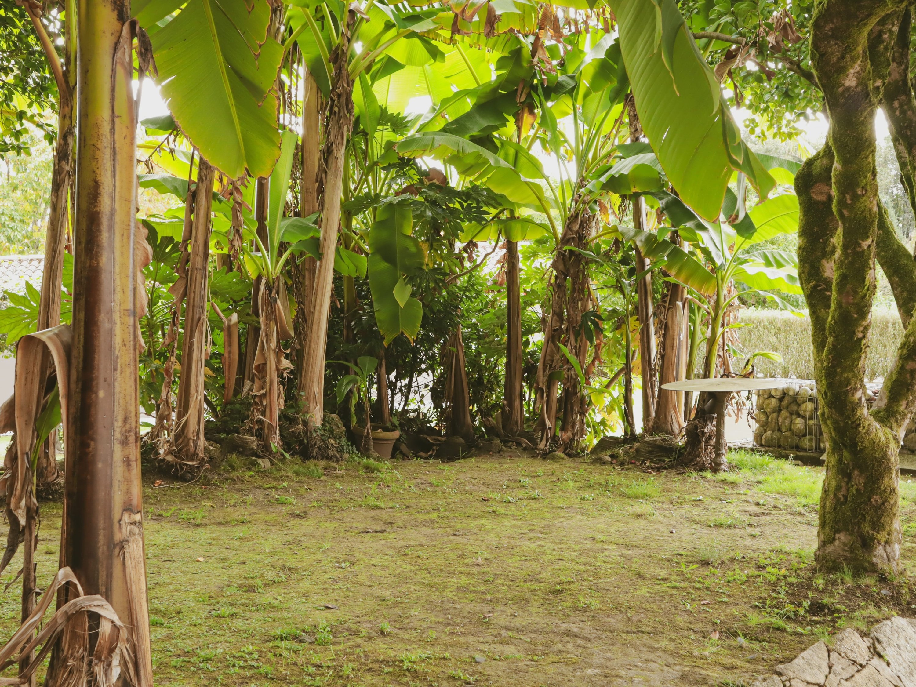 Photo of Pazo de Adrán 4