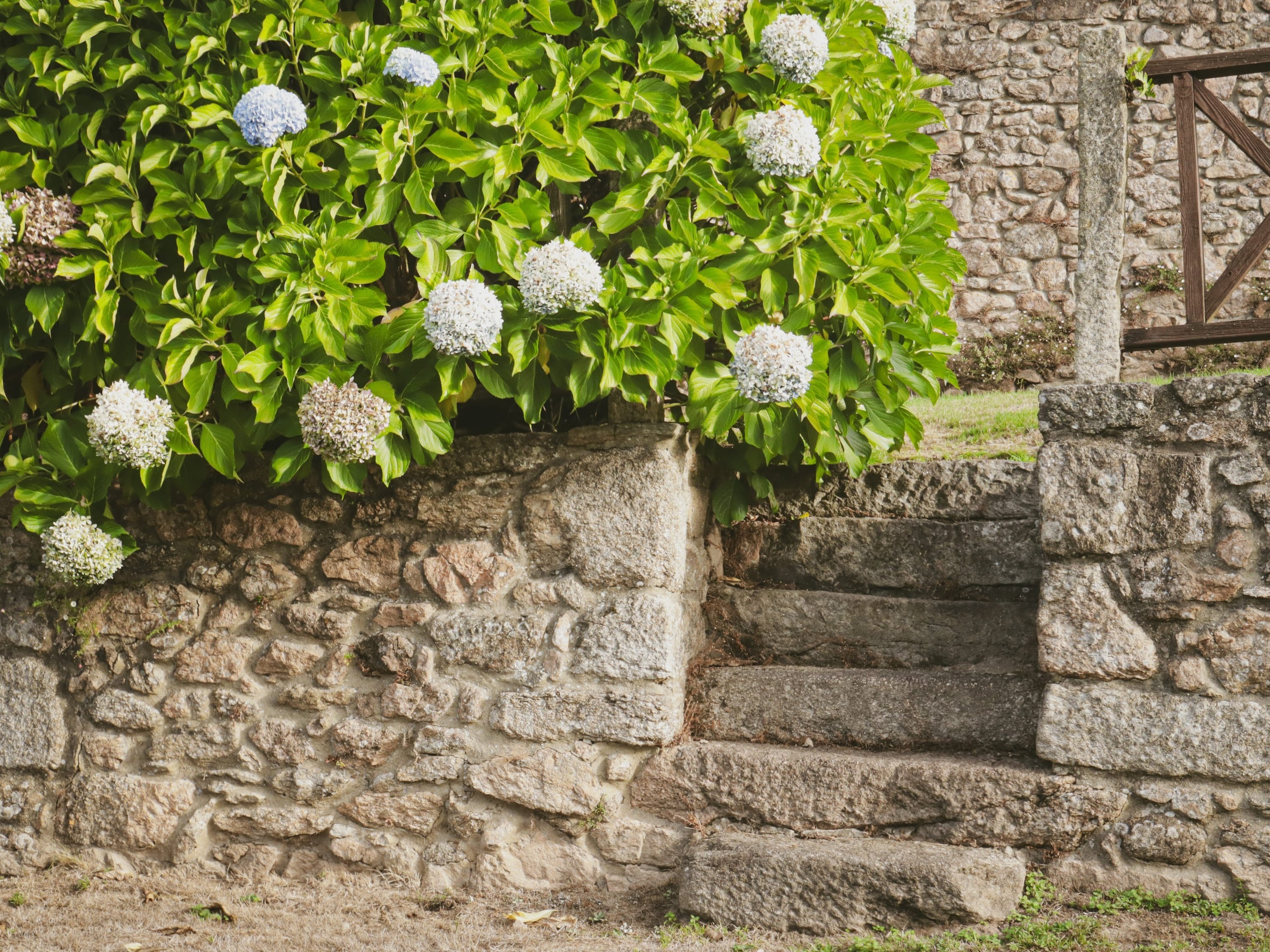 Photo of Pazo de Adrán 6