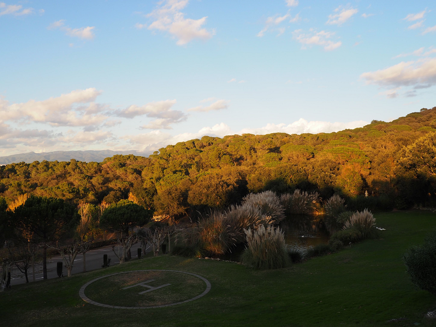 Cenas de empresa en Navidad: el mejor espacio para una celebración sostenible y memorable