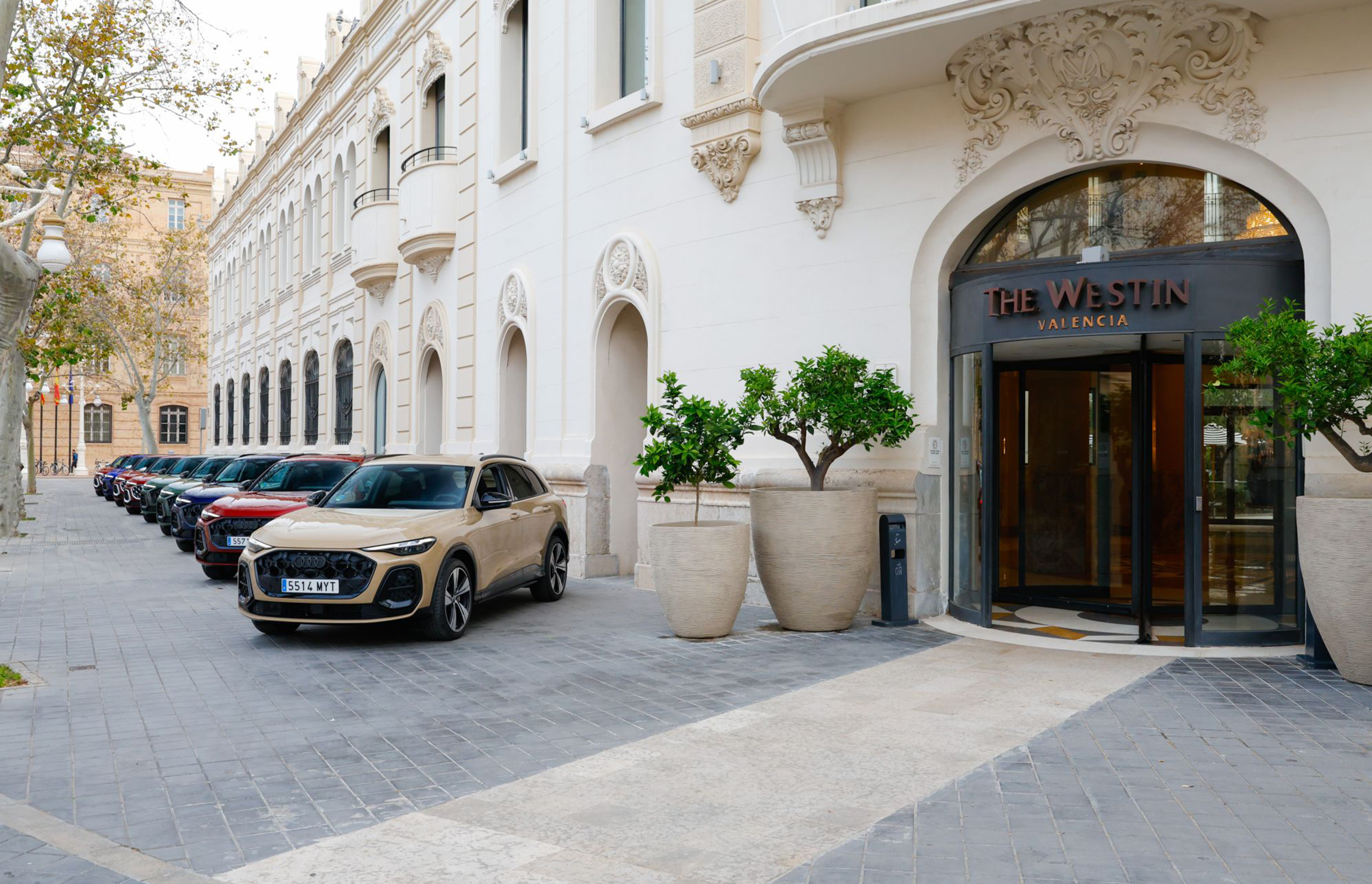 Imagen de Fervor Estudio