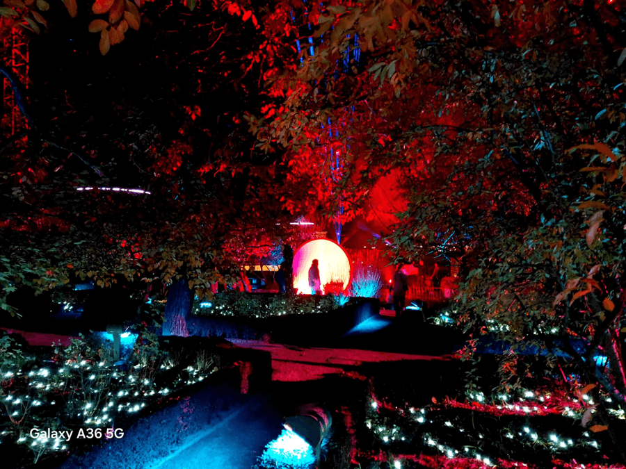 El Huerto de las luces: Acciona reinventa un lugar emblemático de Salamanca