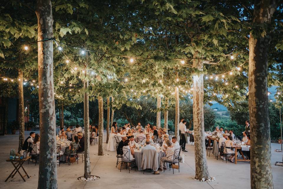 Foto de Masía La Torre del Gall 6