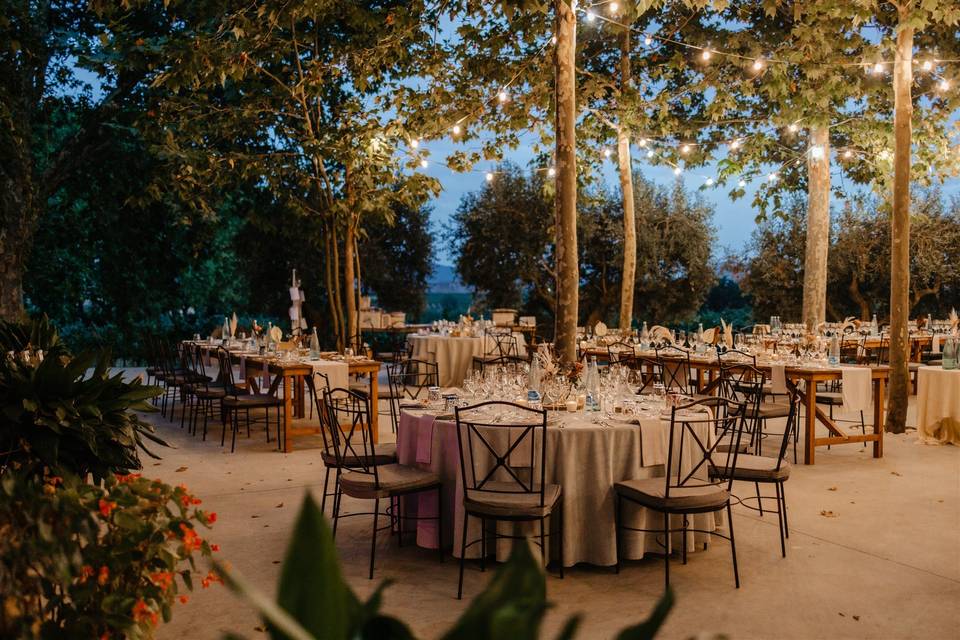 Foto de Masía La Torre del Gall 2