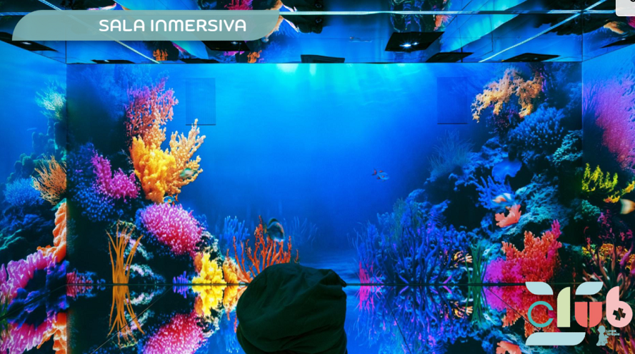 Sala inmersiva Juegaterapia