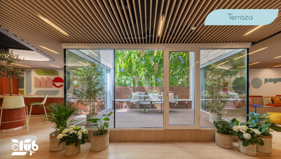 Terraza Juegaterapia