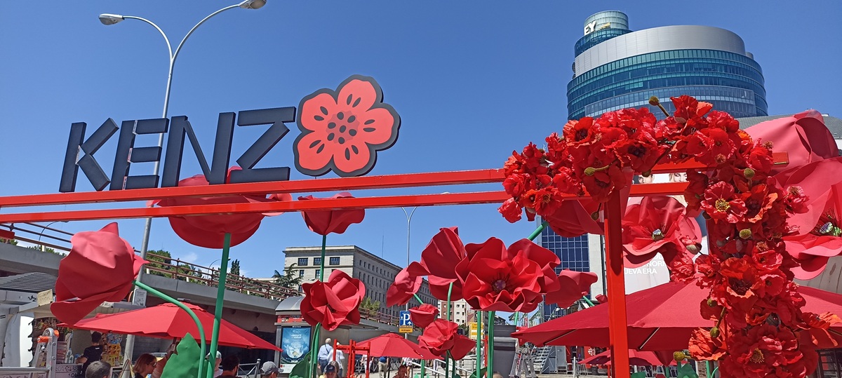 Foto de Flash Organic Creativity 6