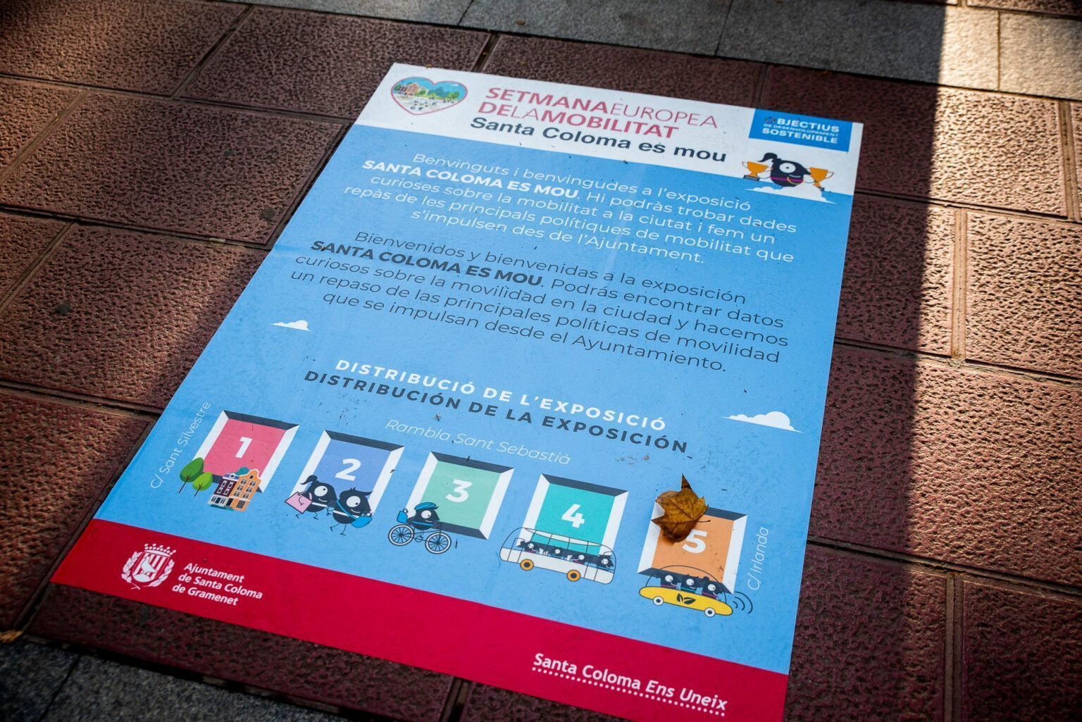 Photo of Tandem Projects 5