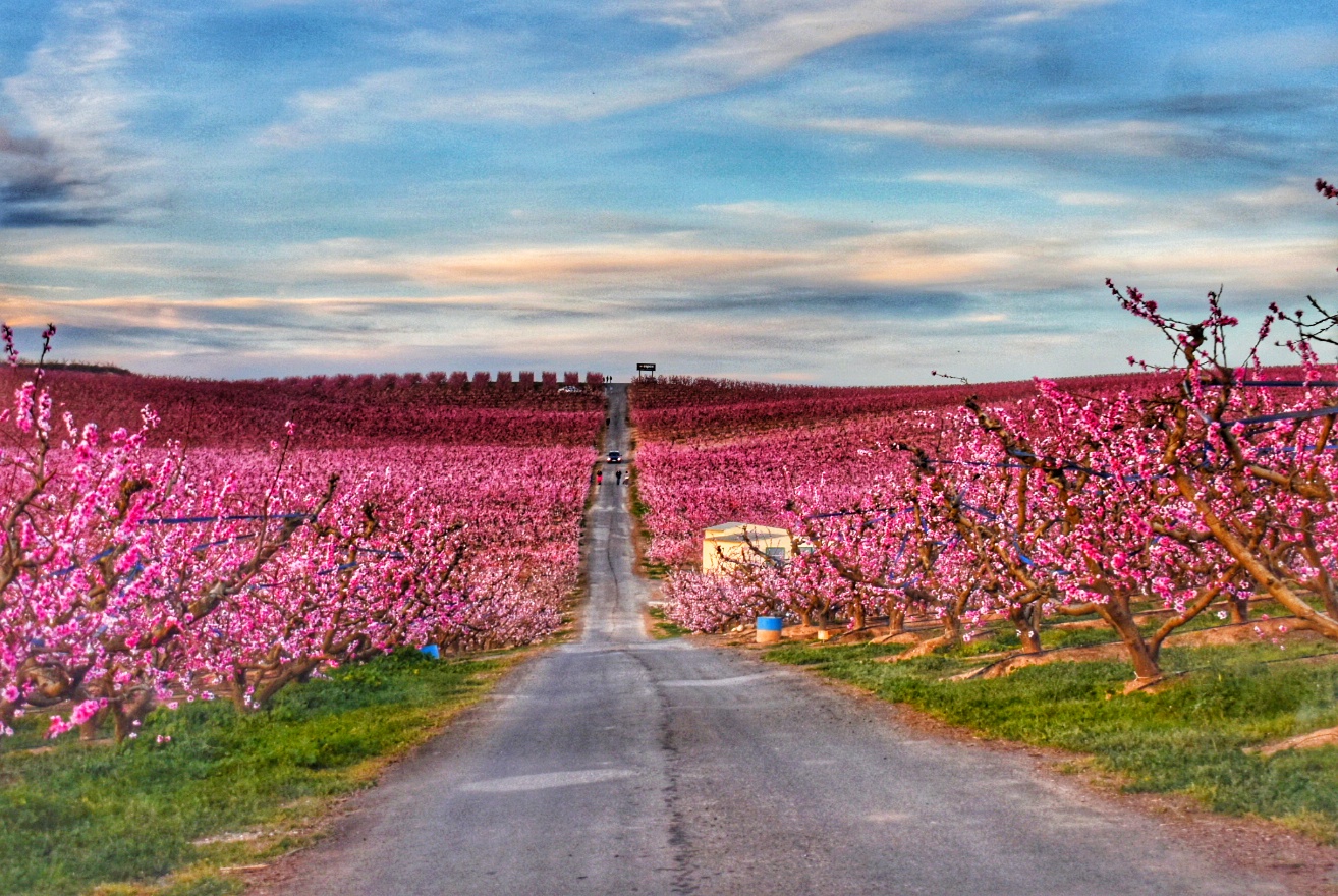 Cuando el destino es mucho más que patrimonio y gastronomía