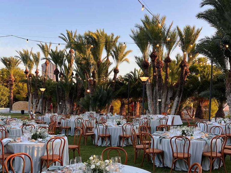 Photo of Finca Les Palmeres 2