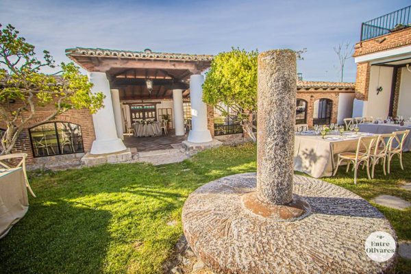 Photo of Finca Entre Oliveras 3