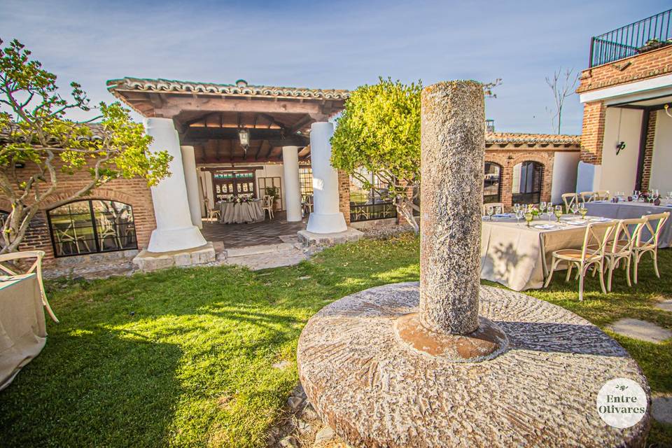 Photo of Finca Entre Oliveras 3