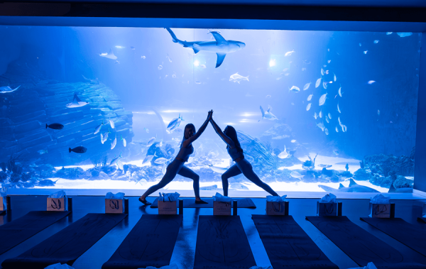 Wellness bajo el mar por el Día Mundial del Agua