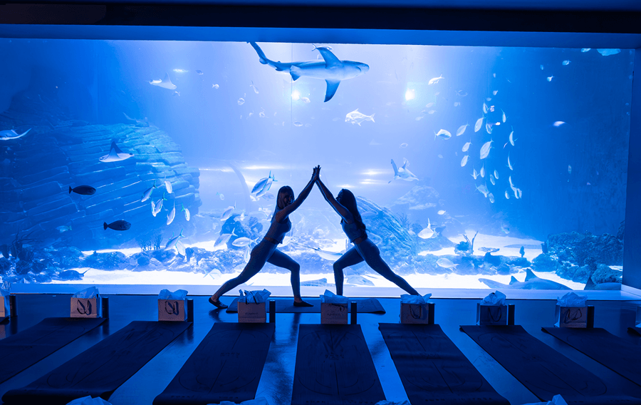Wellness bajo el mar por el Día Mundial del Agua