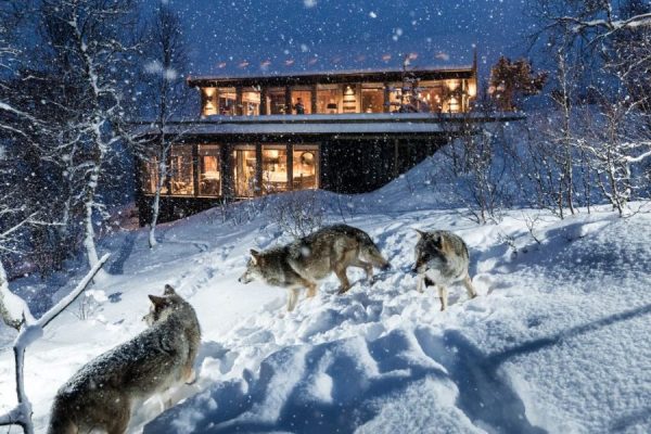 Noruega, el lujo de vivir la naturaleza