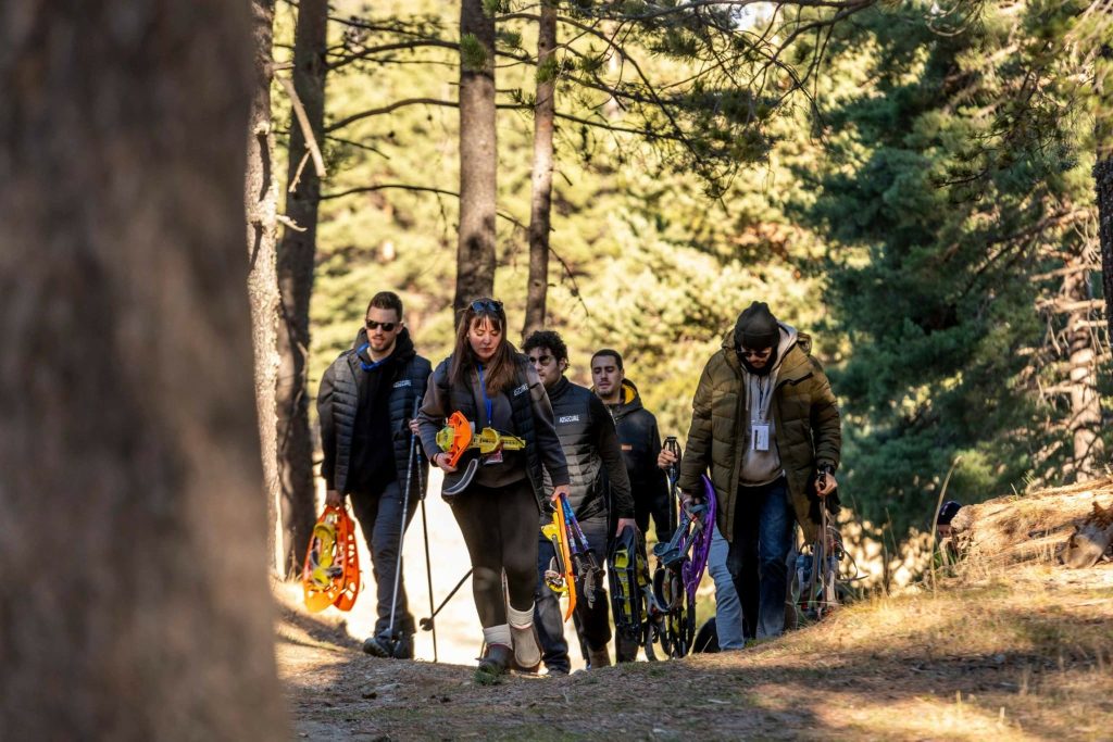 Foto de La Cerdanya 5