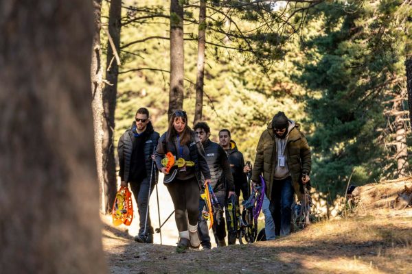 Foto de La Cerdanya 5