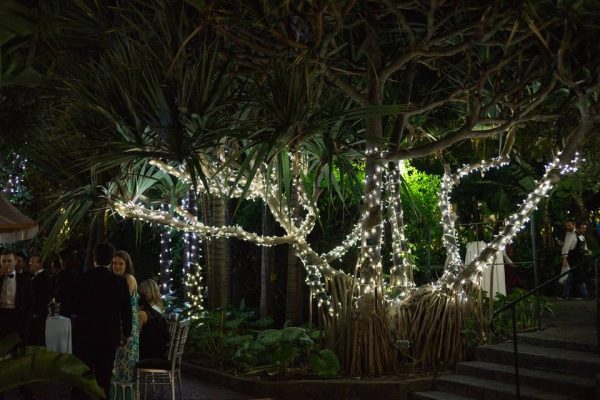 Foto de Jardín de la Marquesa de Arucas 2