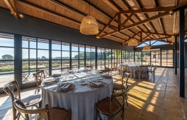 Photo of L’orangerie de Clos Barenys 2