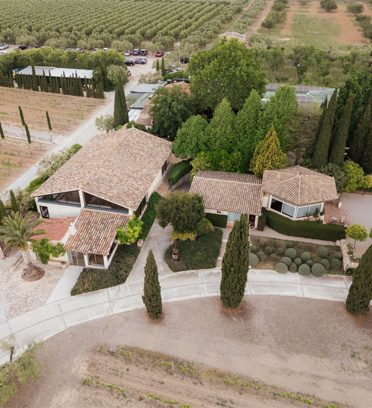 Photo of L’orangerie de Clos Barenys 6