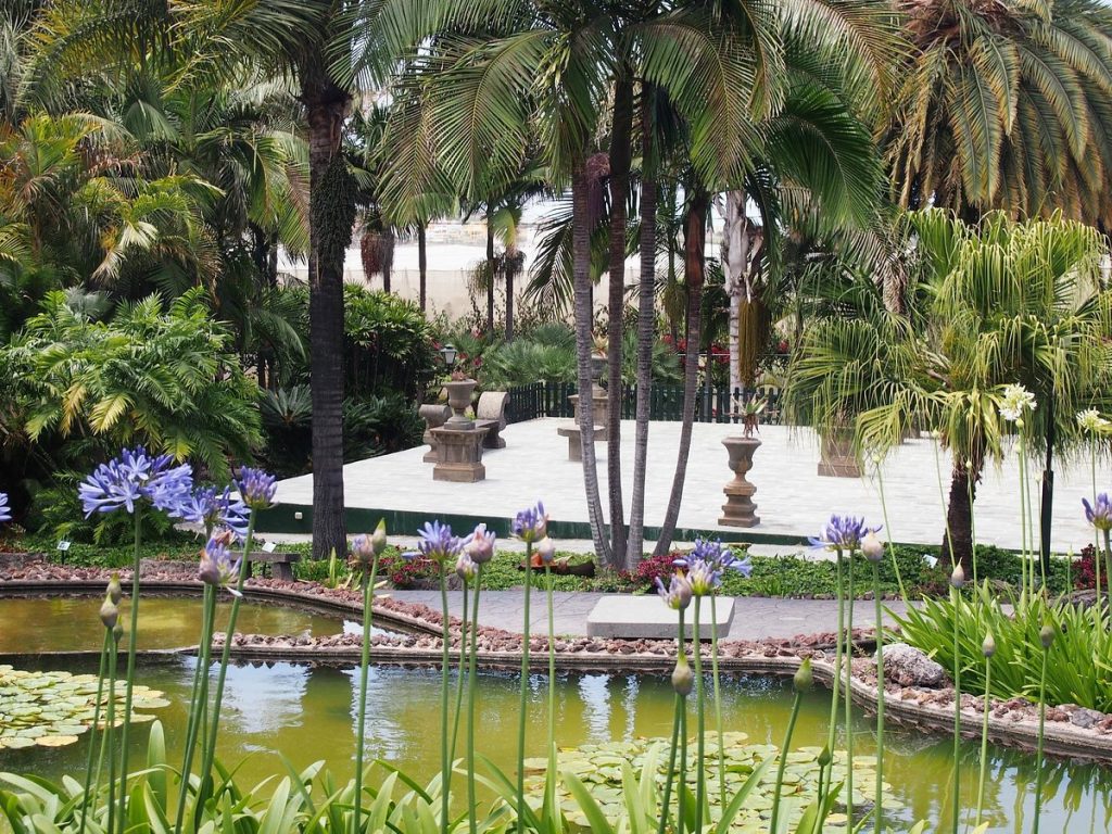 Foto de Jardín de la Marquesa de Arucas 6