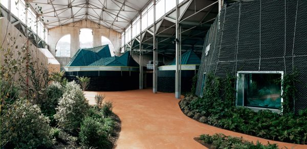 La mítica Nave 15 de Matadero volverá a la vida gracias al MIAD