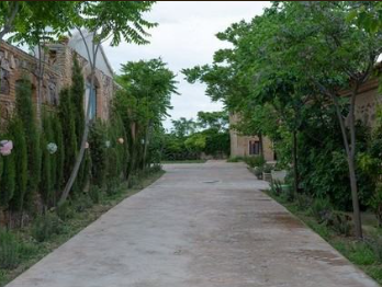 Photo of Finca Leónidas 2