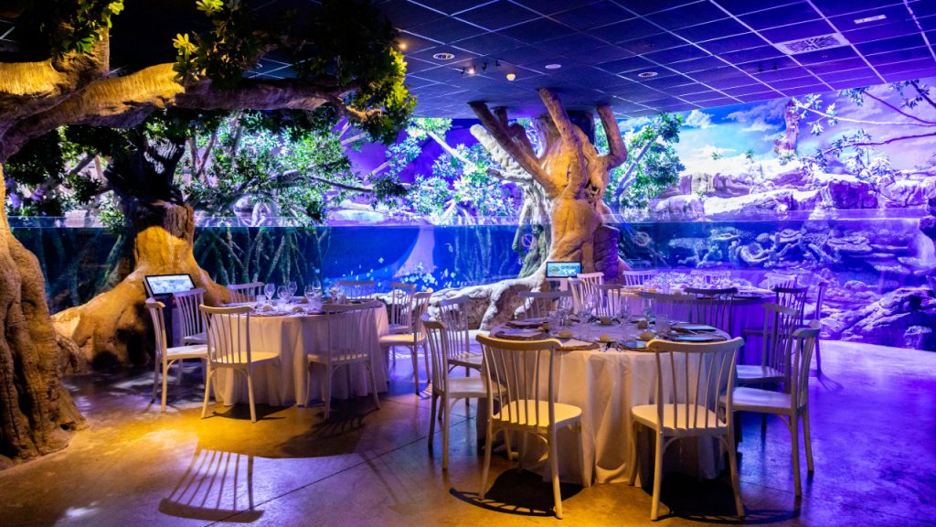Eventos que conectan: ¿y si la naturaleza fuera parte del escenario?