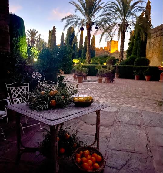 Photo of Alcázar Palacio de Portocarrero 6
