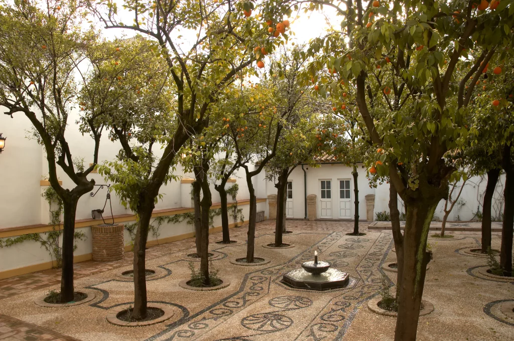 Foto de Fundación Miguel Castillejo 4