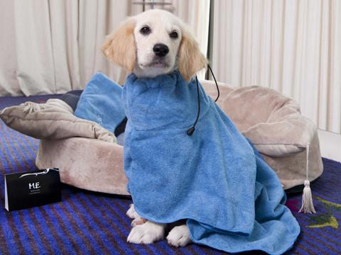 ´My best friend and ME´