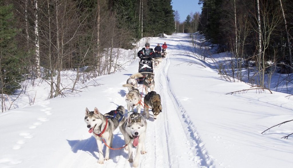 5 eventos a 0º: la montaña como excusa