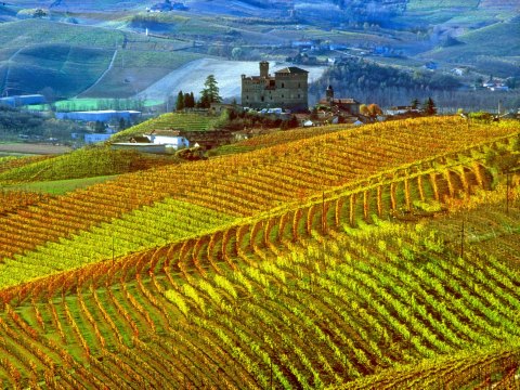 Turin offers its love of good life to events