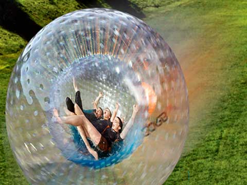 More than a gift, an experience