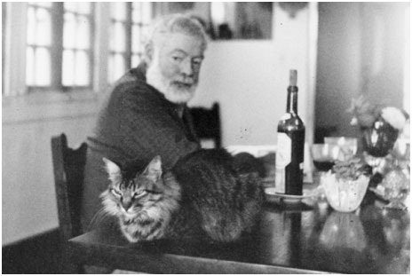 Viva la vida de Hemingway