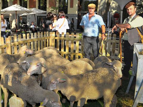 Serrano se convierte en ´La avenida de la lana´