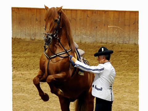 Un incentivo con todo el sabor de Andalucía