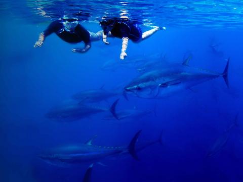 Tuna Tour, propuesta refrescante para incentivos de verano