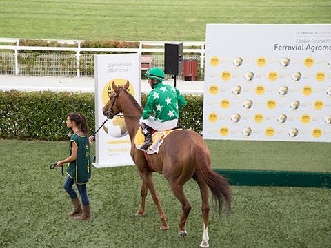 Un día en las carreras para la reunión anual de Ferrovial Agroman
