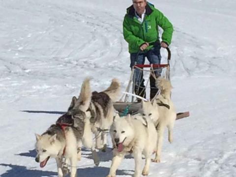 Incentivo 100% blanco de Viajes Excelsior